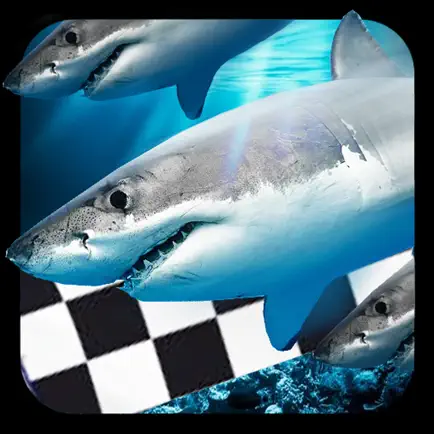 Fish Race Version Cheats