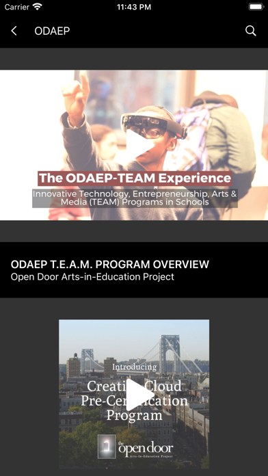 ODAEP-YRBK Screenshot