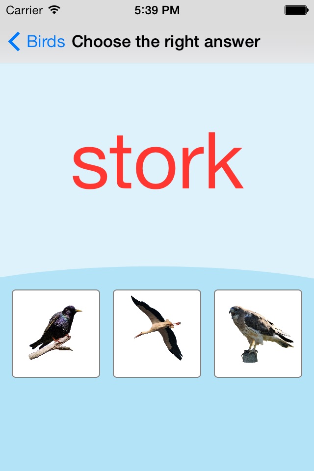 Birds Learning Cards screenshot 4