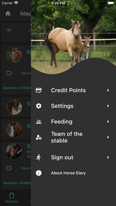 Horse Diary Screenshot
