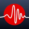 Audio Recorder - profession App Delete