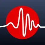 Audio Recorder - profession App Negative Reviews