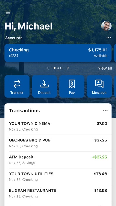 First Bank Elk River Screenshot