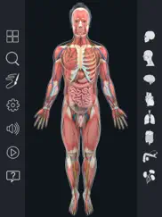 human anatomy ipad resimleri 3