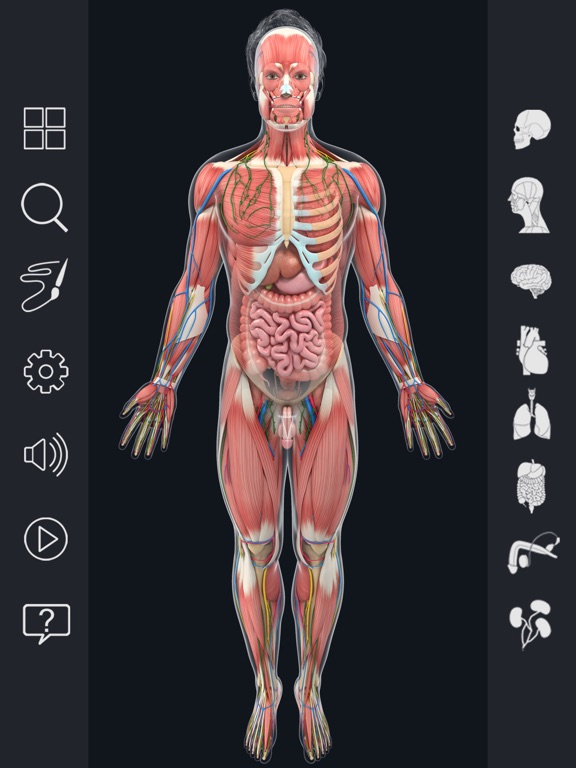 Screenshot #6 pour Human Anatomy