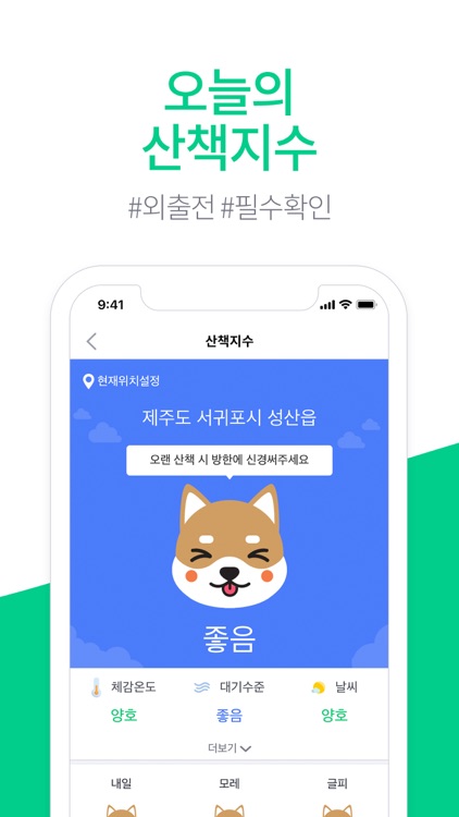아지냥이