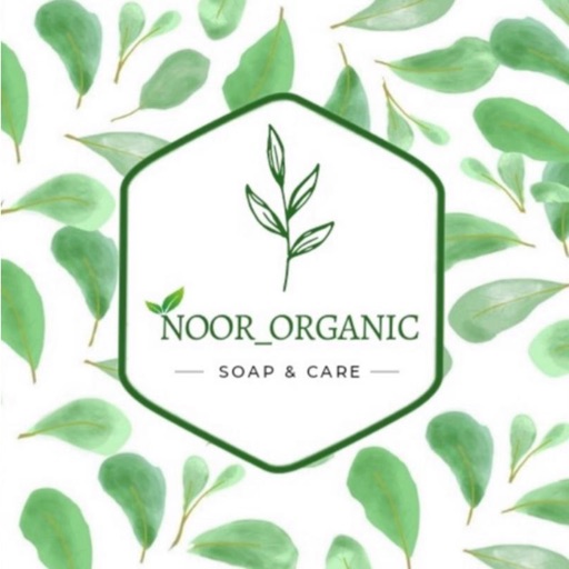 Noor Organic - نور اورجانيك icon