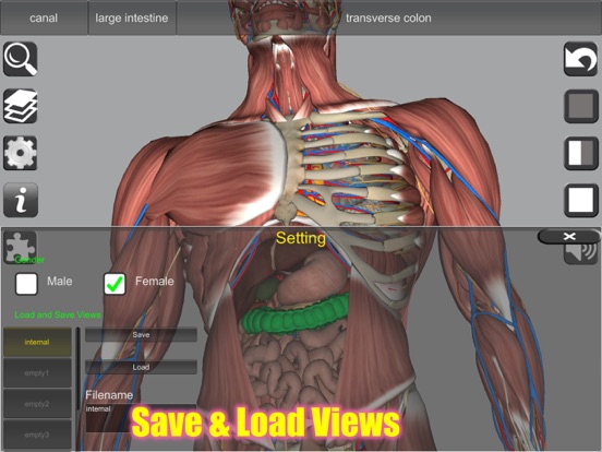 3D Anatomy iPad app afbeelding 6