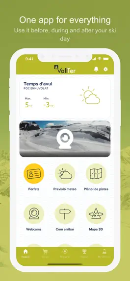 Game screenshot Vallter hack