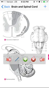 Anatomy Atlas iphone bilder 2
