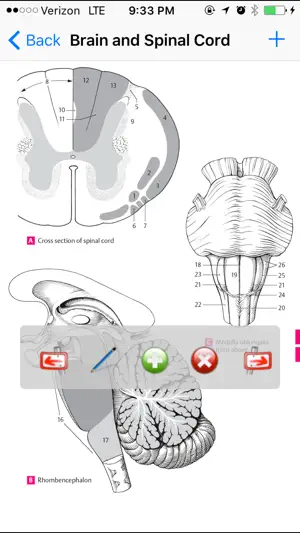 Anatomy Atlas screenshot 2