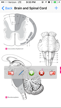 Anatomy Atlas screenshot 2