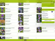 fleurs sauvages suisse finder iPad Captures Décran 4