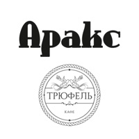 Аракс | Орёл logo