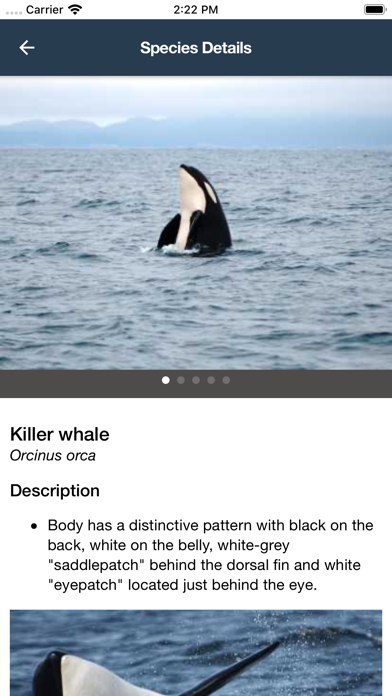 WhaleReport Legacy Screenshot
