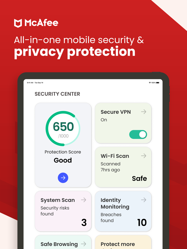 ‎McAfee Privacy & Security Screenshot