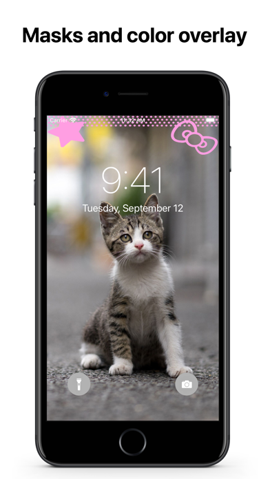 Cats Wallpapers 4K HQ Notch Screenshot