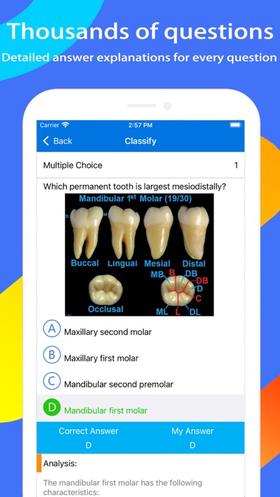 NBDE I Dental Boards Expert Screenshot