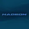 Hadron contact information