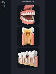 my dental anatomy ipad resimleri 1