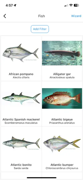 Game screenshot GulfSeeLife hack