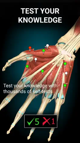 Game screenshot Anatomy Learning - 3D Anatomy apk