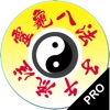 Chrono-Acupuncture icon