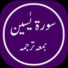 Surah Yaseen Offline icon