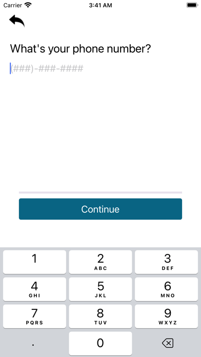 Done For You Tax Screenshot