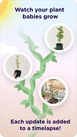 Game screenshot Prōpa - Find Rare Houseplants hack