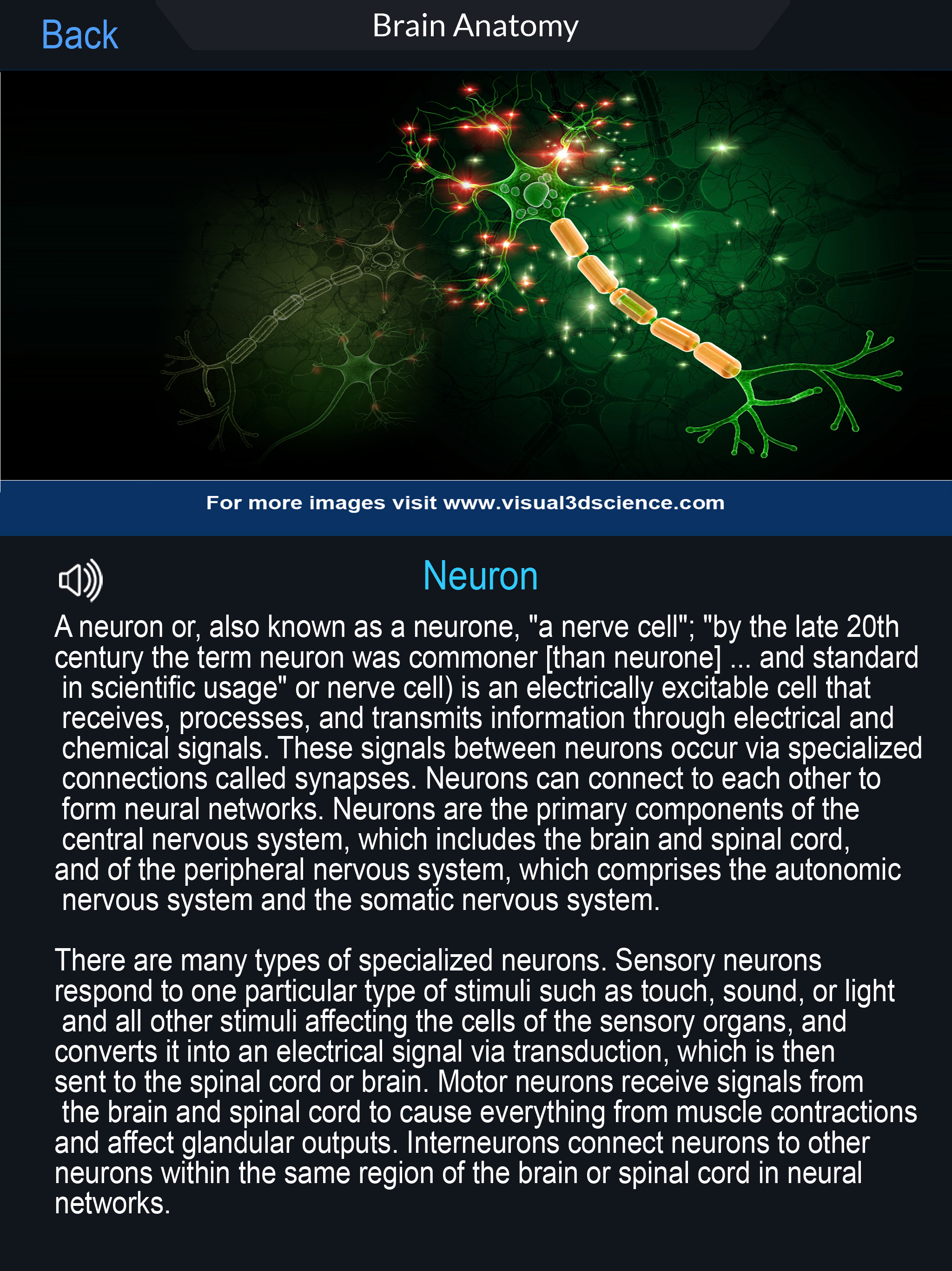 My Nervous System Anatomy screenshot 13