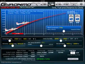 DA42 TDI screenshot 3