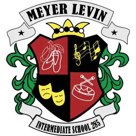 IS 285 Meyer Levin Читы