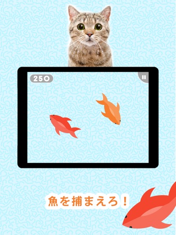 猫のためのゲーム！のおすすめ画像1