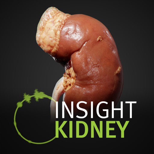 INSIGHT KIDNEY icon