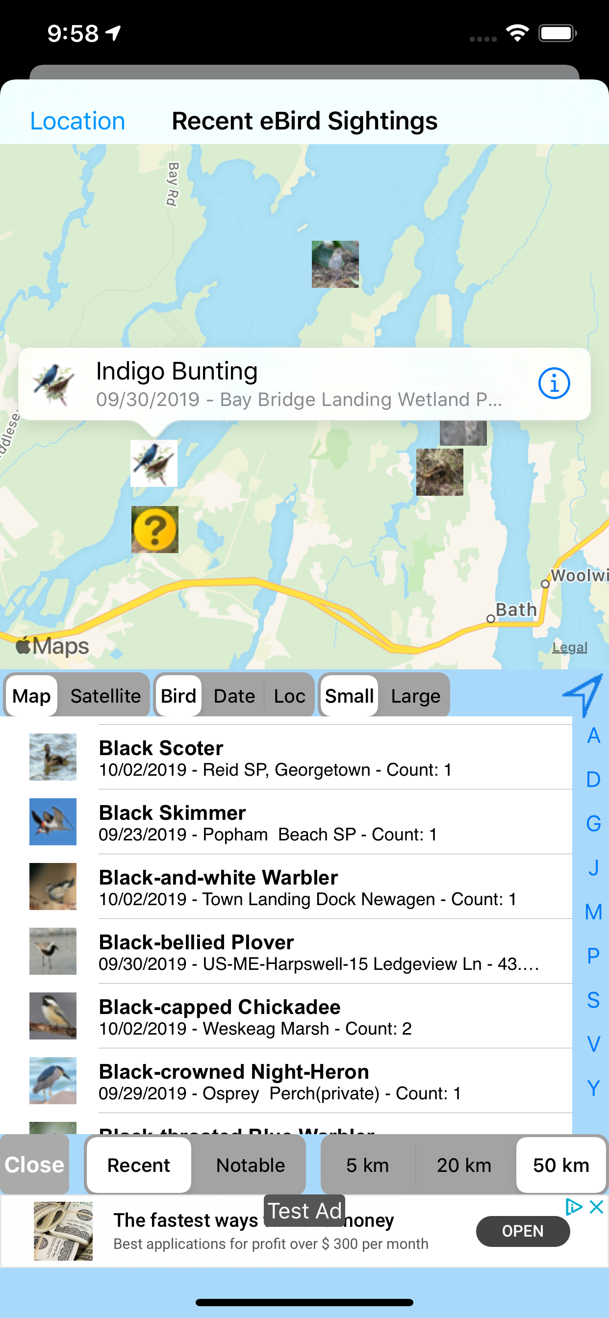 Big Year Birding ABA