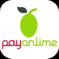 PayOnlime