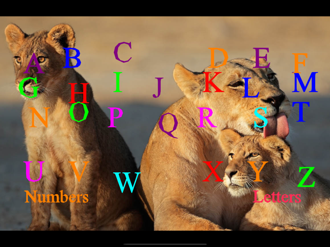 ‎Wild Cats Sounds Screenshot