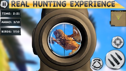 Bird Hunting Sniper Games 3d Screenshot