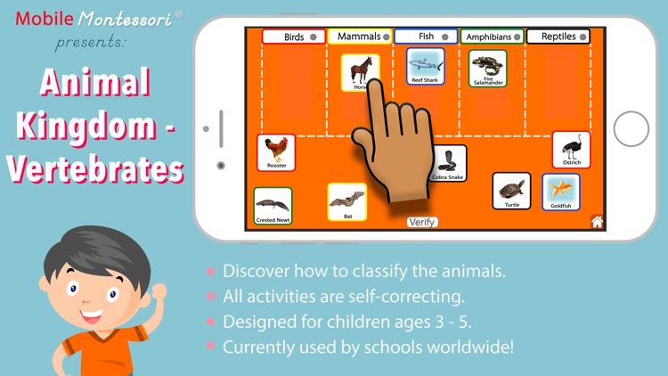 Animal Kingdom (Vertebrates) screenshot-0