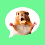 Download Message Stickers : Hamster app