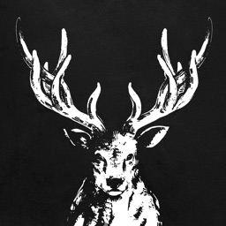 The Alley - It's time for Tea