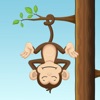 Monkey Fall: Broken Dreams