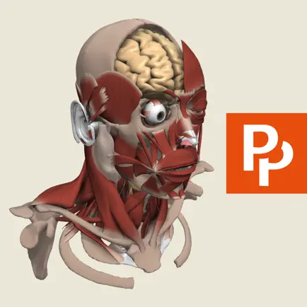 Primal's 3D Head & Neck Cheats