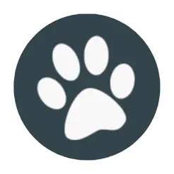 兽音译者 – 智能问答 AI 写作 小说影视网盘扫描浏览器