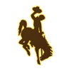 WYO Cowboys & Cowgirls Gameday icon