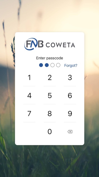 FNB Coweta Screenshot