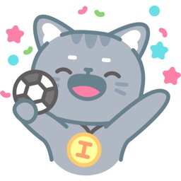the soccer kitten