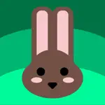 Weather Bunny App Positive Reviews