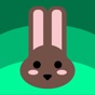 Weather Bunny app download